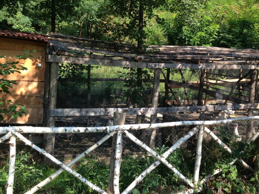 Gasthaus Maria Borlova Zewnętrze zdjęcie