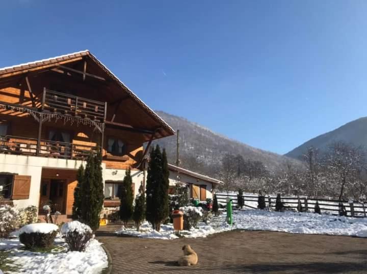 Gasthaus Maria Borlova Zewnętrze zdjęcie