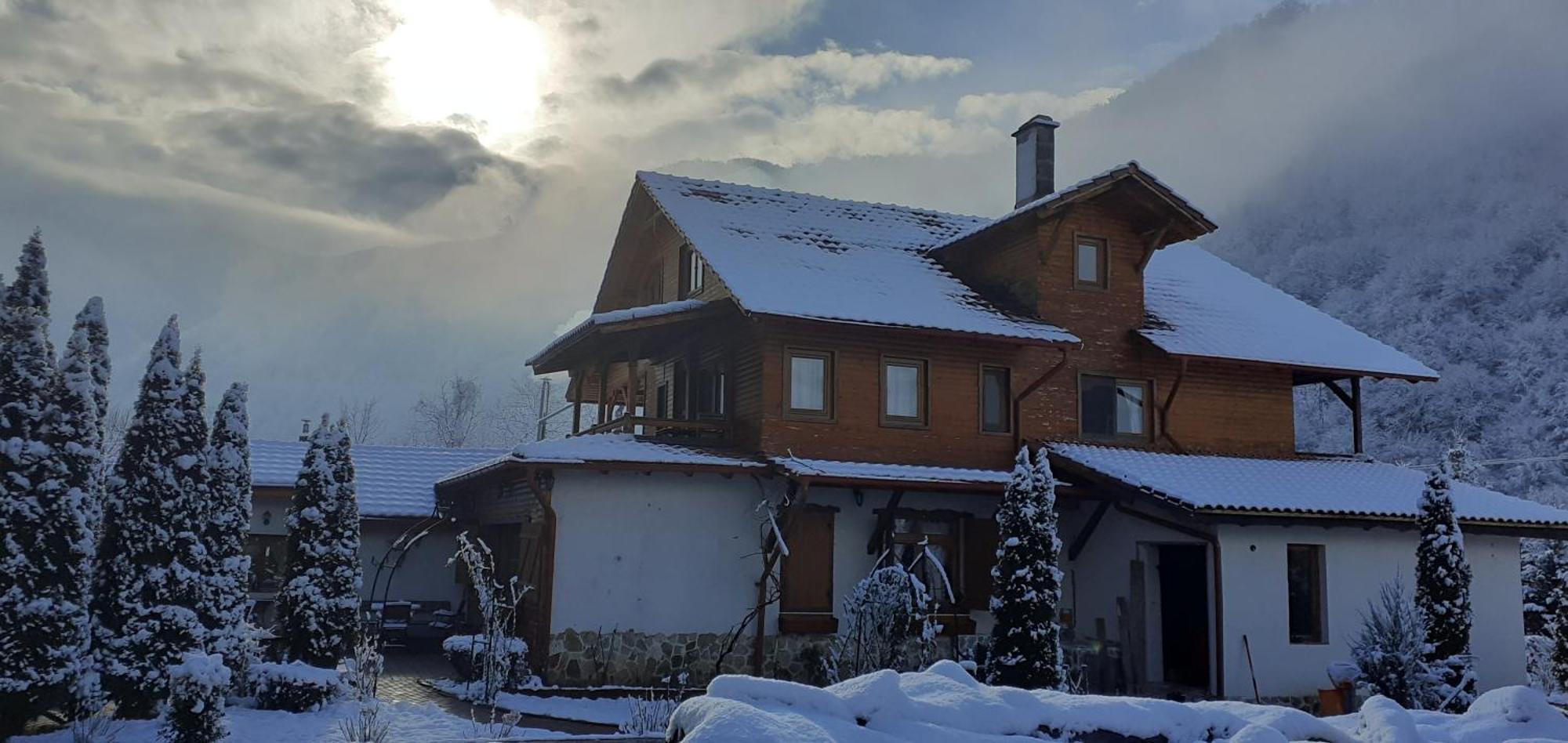 Gasthaus Maria Borlova Zewnętrze zdjęcie