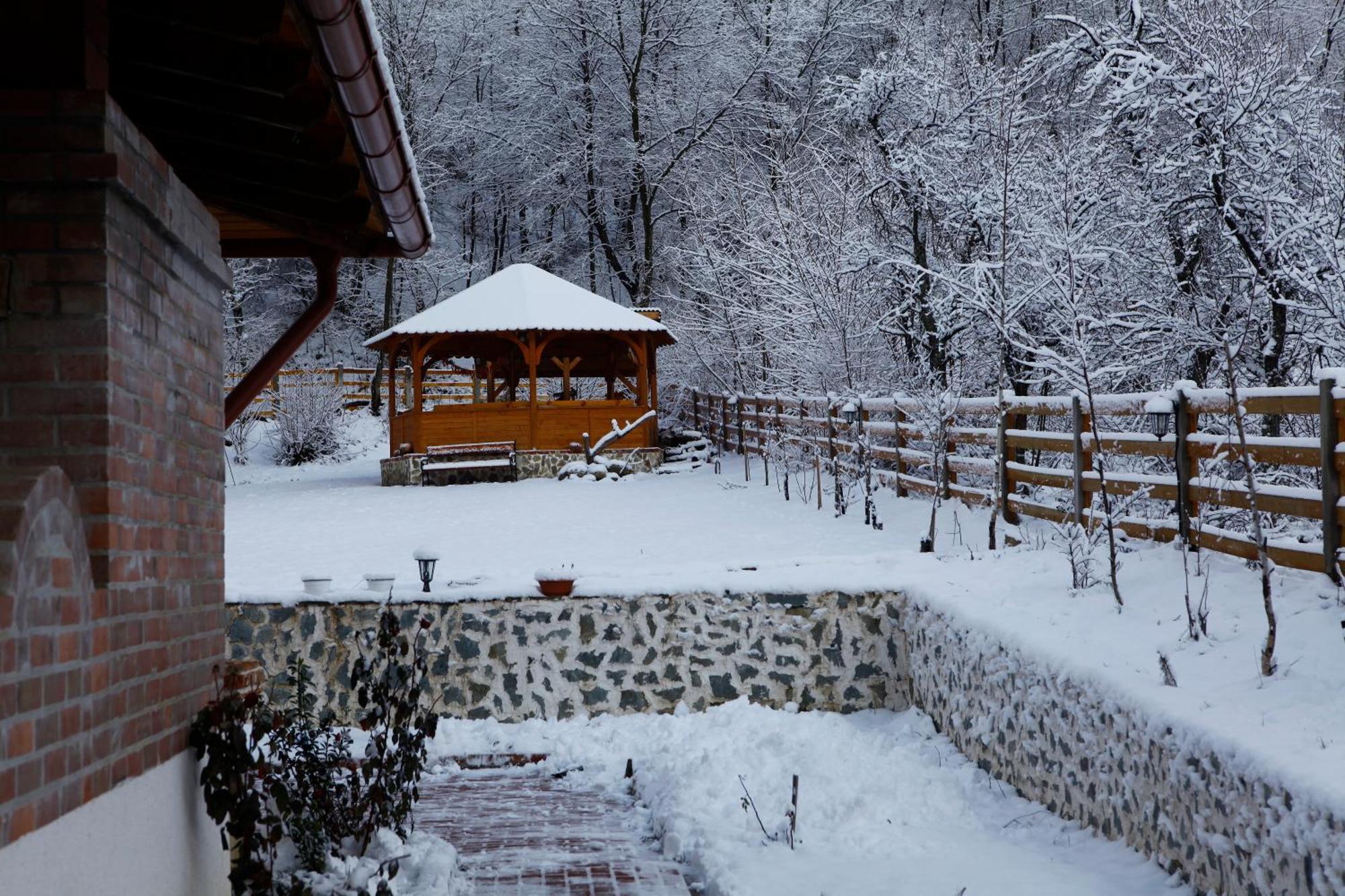 Gasthaus Maria Borlova Zewnętrze zdjęcie