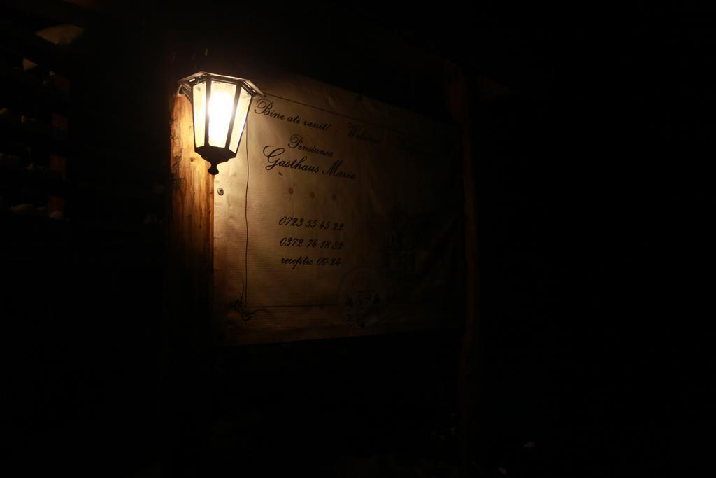Gasthaus Maria Borlova Zewnętrze zdjęcie